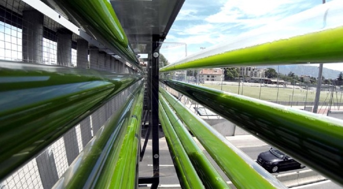 Cloud Collective: Highway Side Algae Farm Devours Pollutants