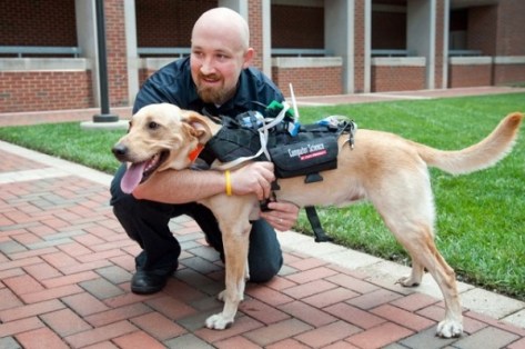 Photo Credit: North Carolina State University