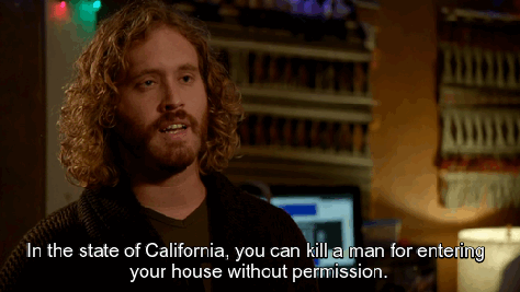 tj miller silicon valley