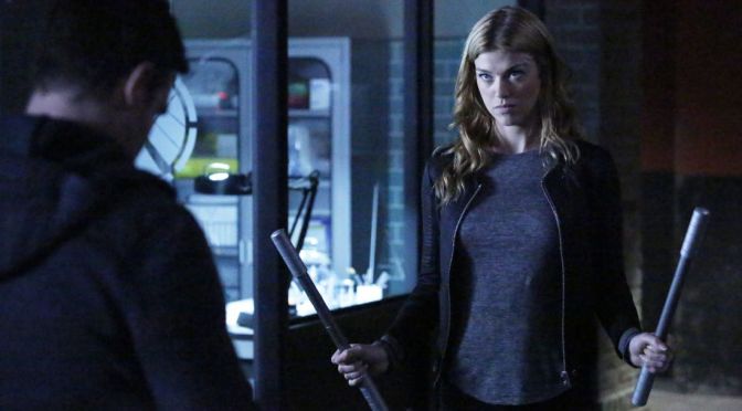 Adrianne Palicki to Lead New Agents of SHIELD Spin-Off