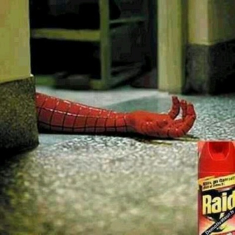 spider raid
