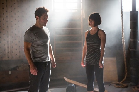 ant-man-paul-rudd-evangeline-lilly.jpg