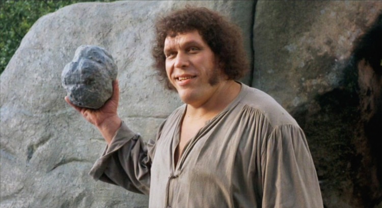 Andre the Giant