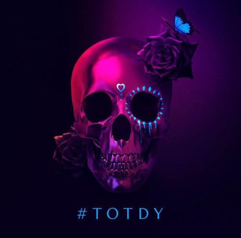 Too Old To Die Young