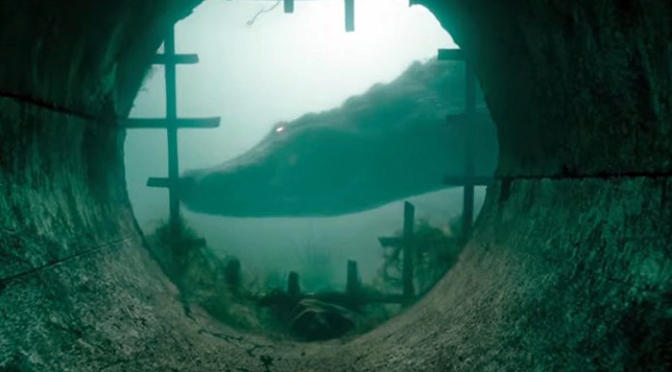 Crawl: First Trailer For Alex Aja And Sam Raimi’s Alligators In A Hurricane Horror
