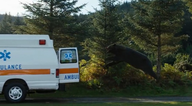Cocaine Bear Trailer Released!